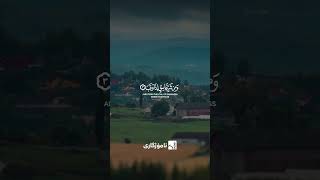 rep1k9Cih6k
