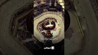_U8K95TuWy8